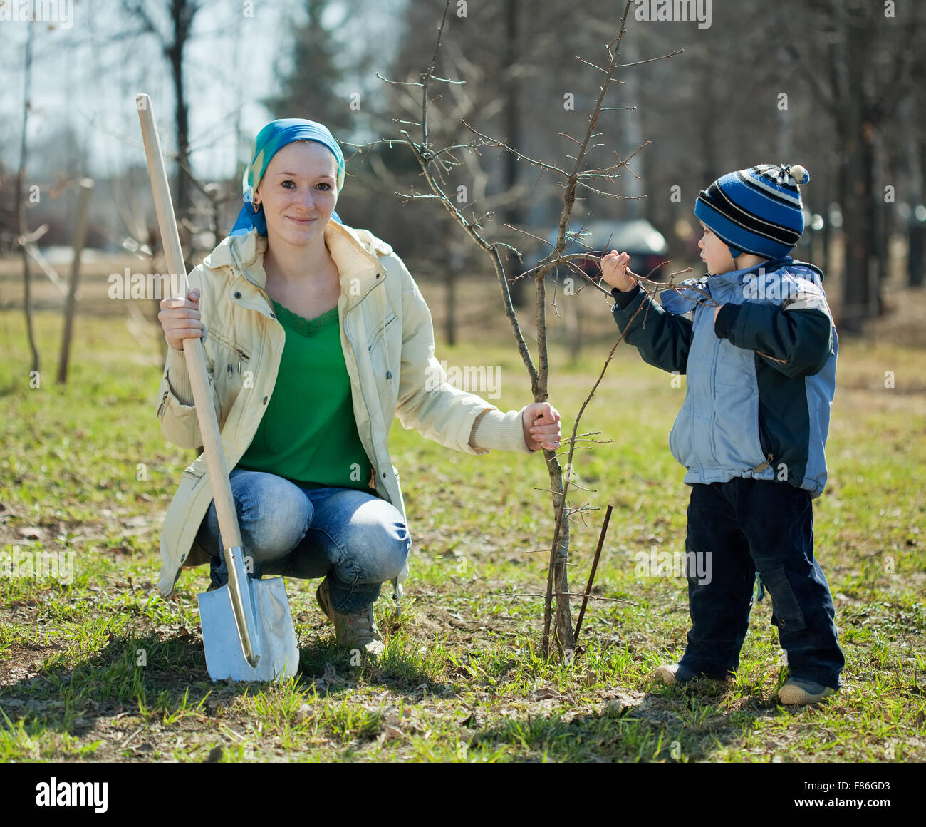 family planting tree with spade outdoor Stock Photo - Alamy