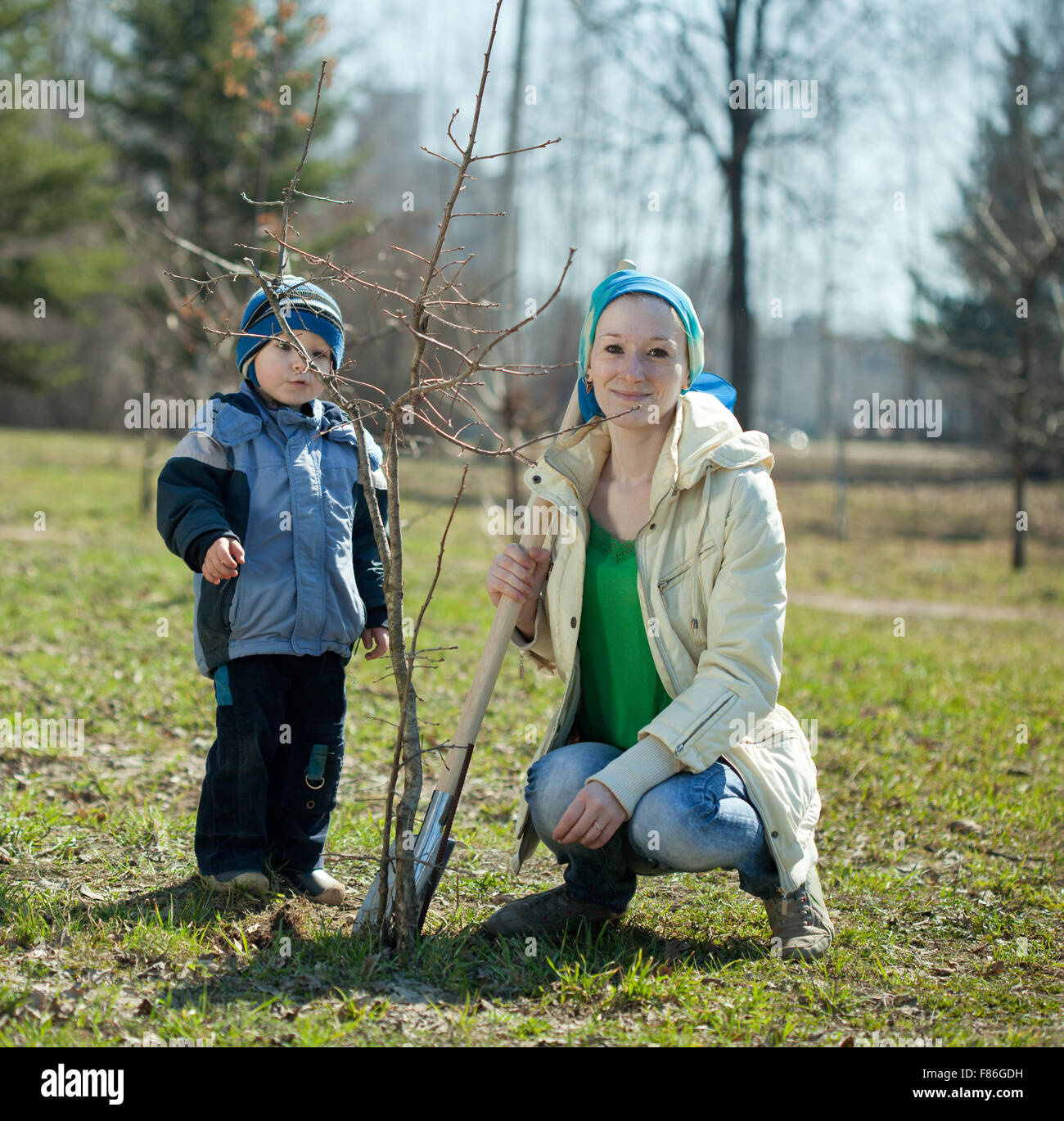 woman and boy with spade outdoors planting tree Stock Photo - Alamy