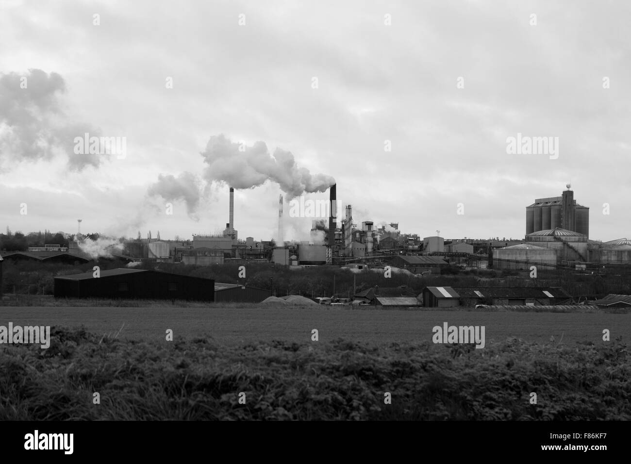 The British Sugar factory at Bury St Edmunds, Suffolk, UK in black and white Stock Photo