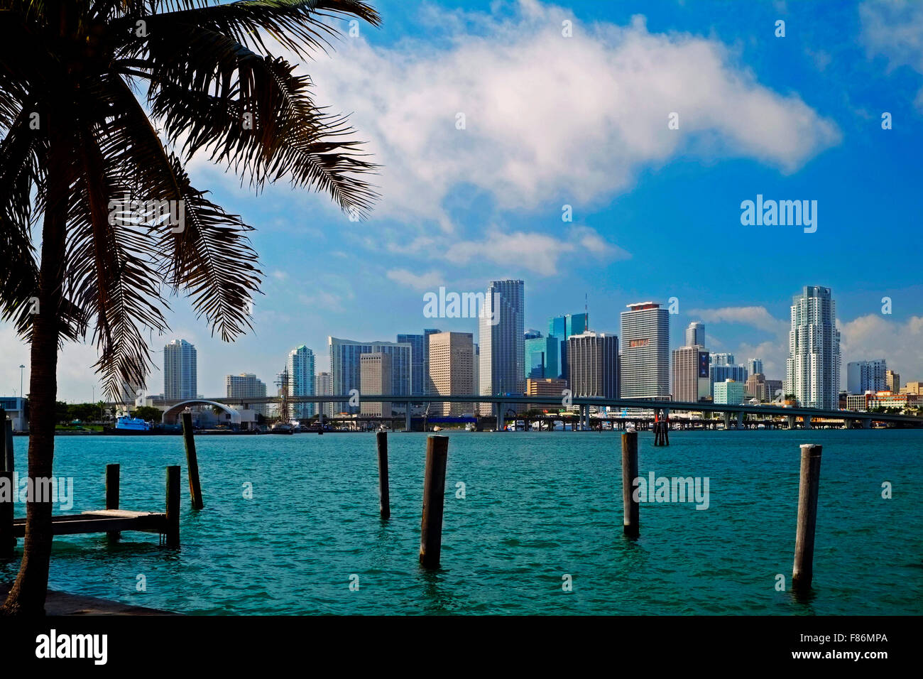 Miami Skyline, Florida USA Stock Photo
