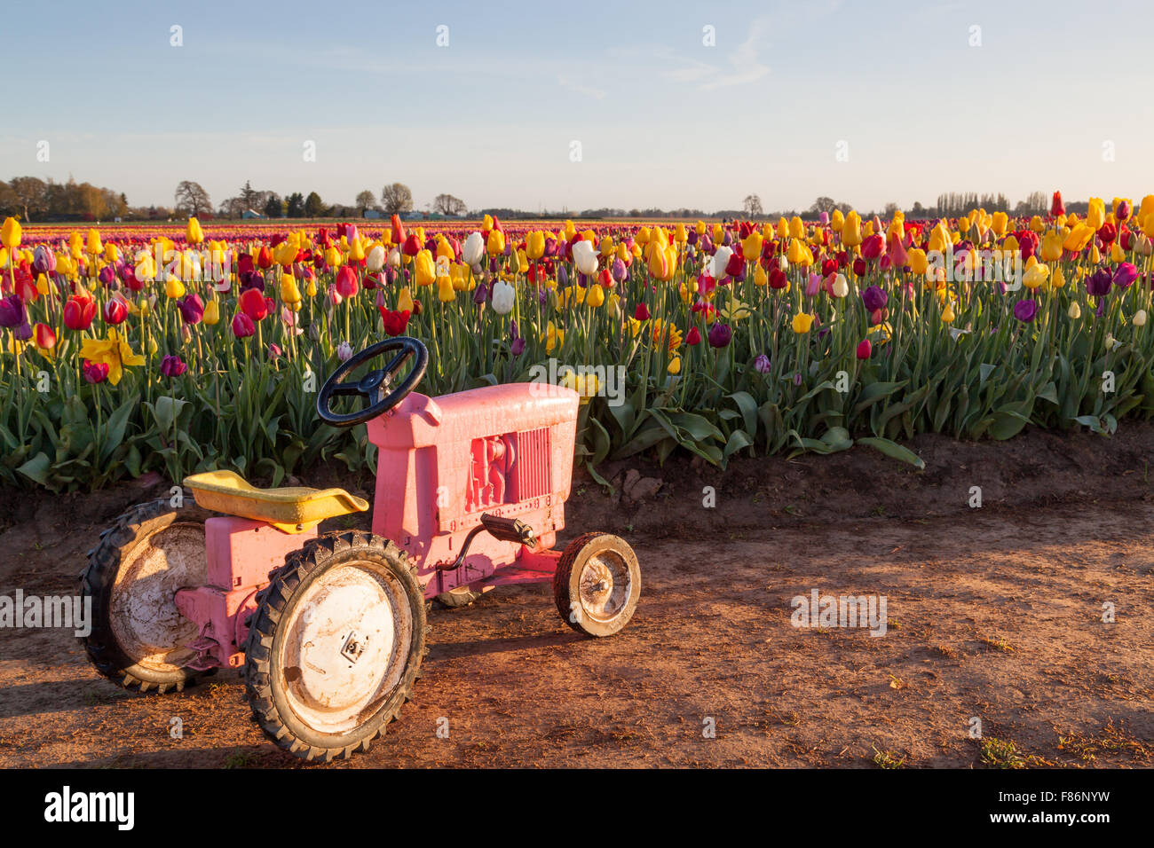 pink tractor toy small