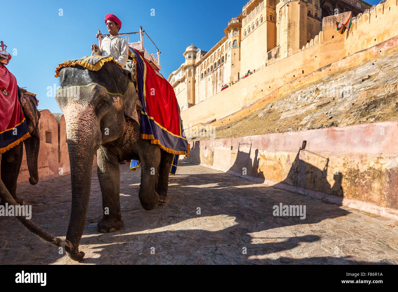 Elephants riding for tourists at Amber Fort, Jaipur, Rajasthan, India Stock Photo