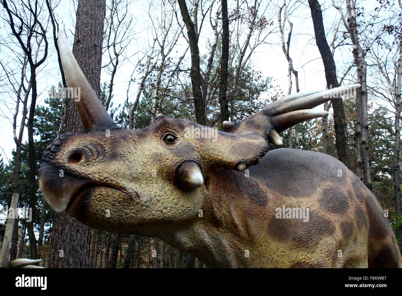 Styracosaurus (spiked lizard) dinosaur - Cretaceous era Lifelike dino statues at  Dinopark Amersfoort Zoo, Netherlands Stock Photo