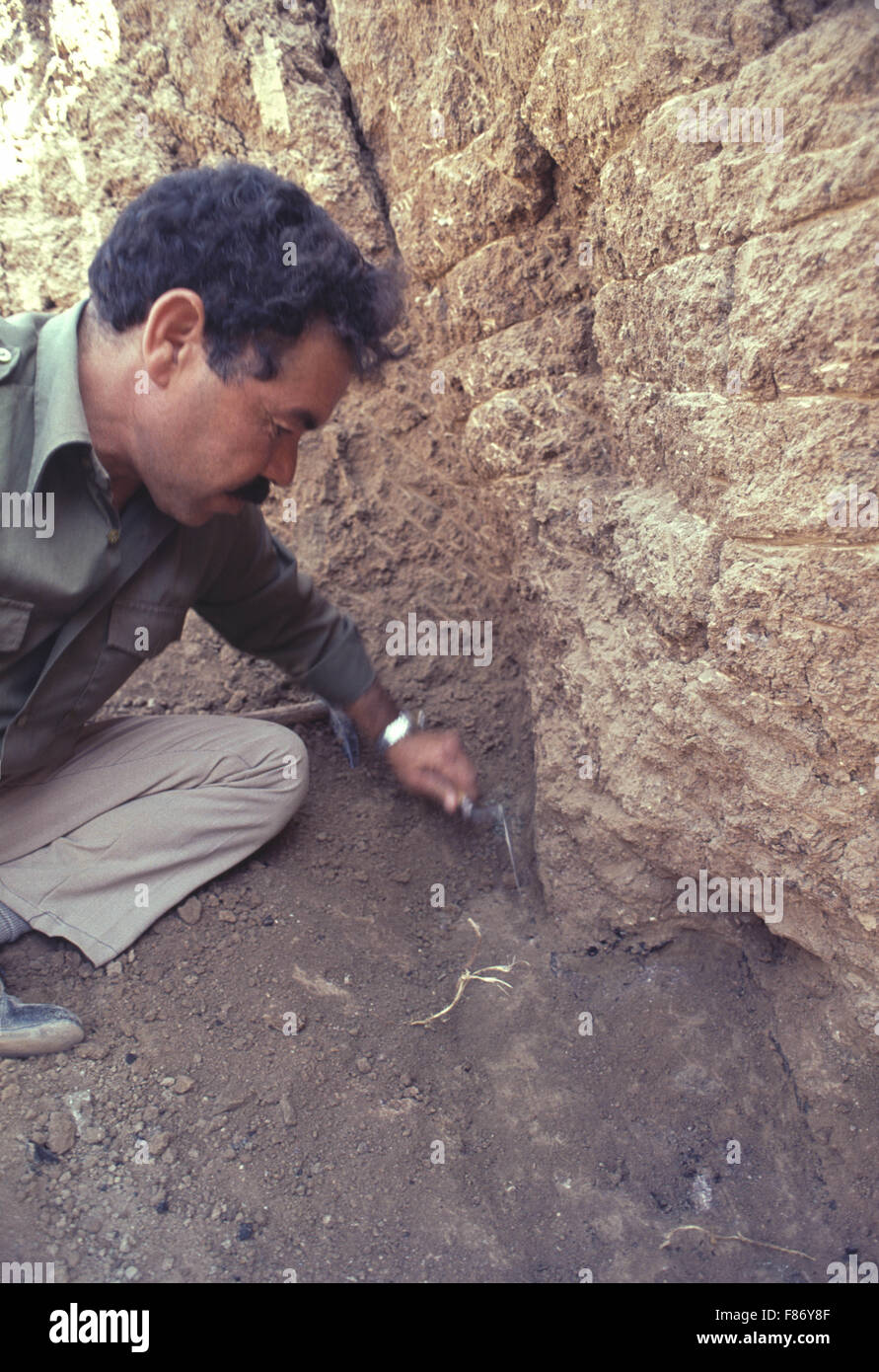 Archaelogical excavations being conducted by the British Museum at the ...