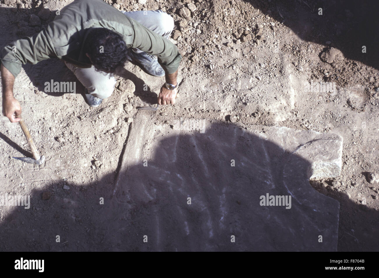 Archaelogical excavations being conducted by the British Museum at the ...