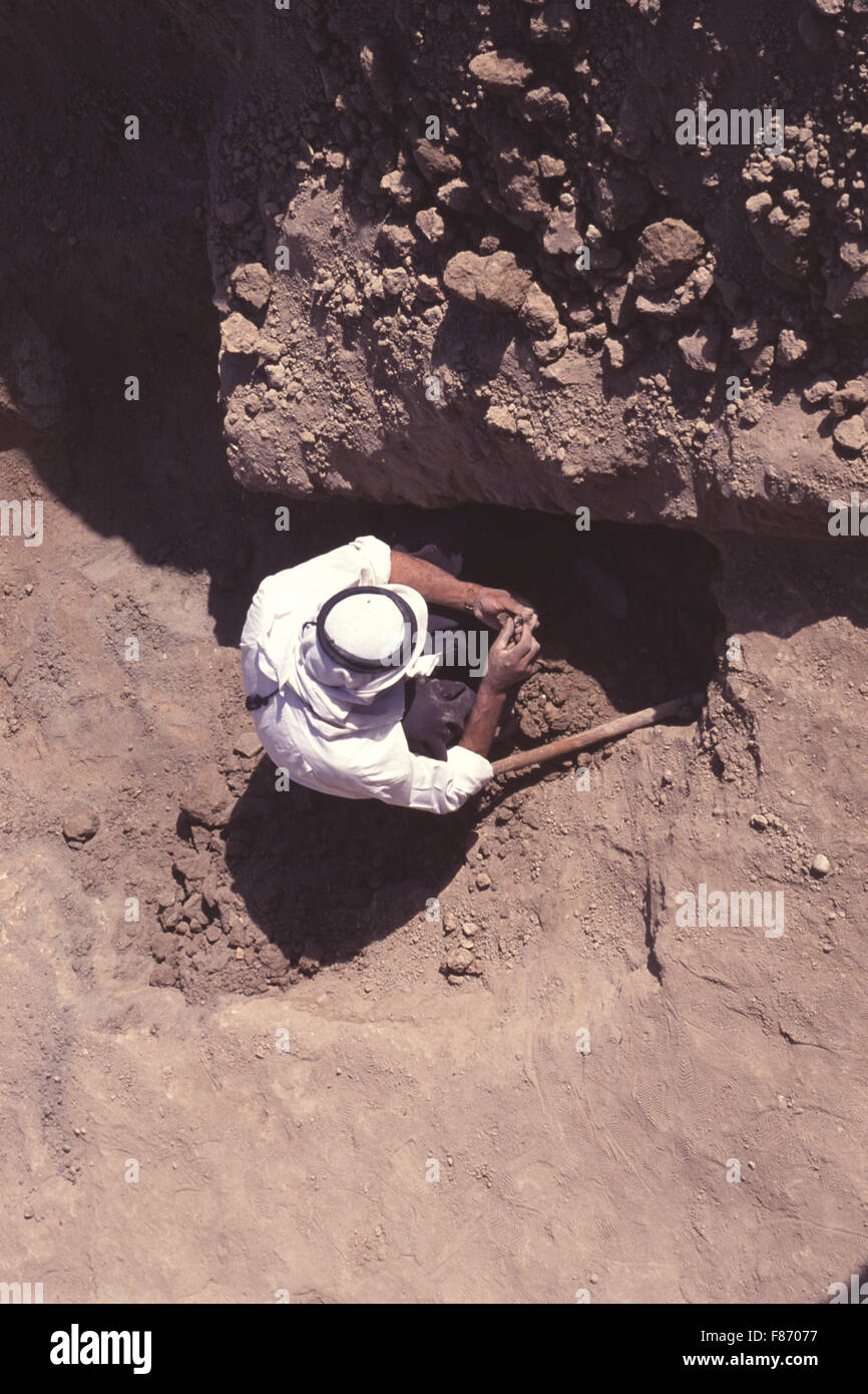 Archaelogical excavations being conducted by the British Museum at the ...