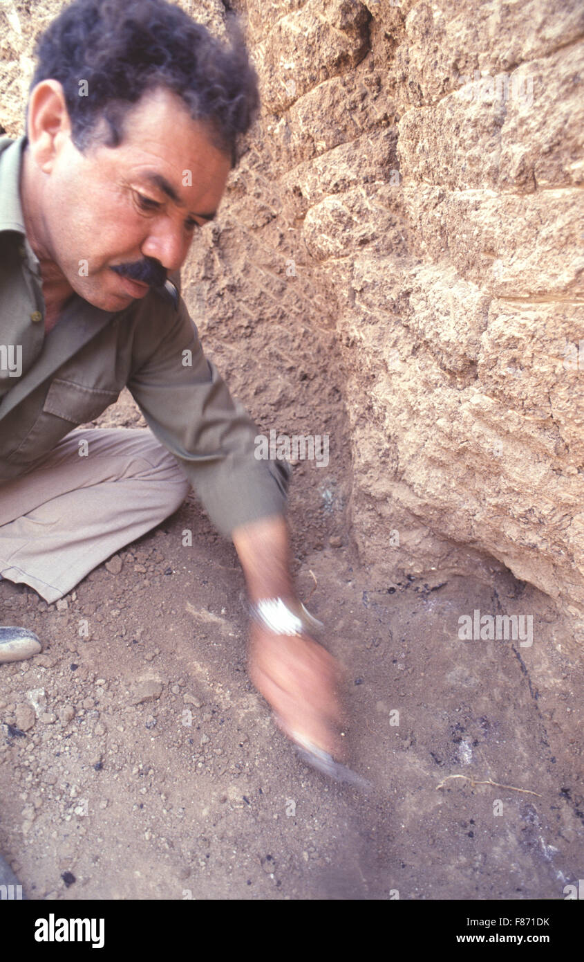 Archaelogical excavations being conducted by the British Museum at the ...