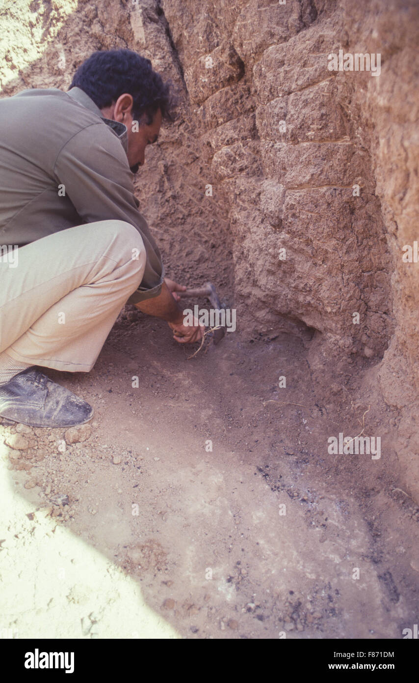 Archaelogical excavations being conducted by the British Museum at the ...