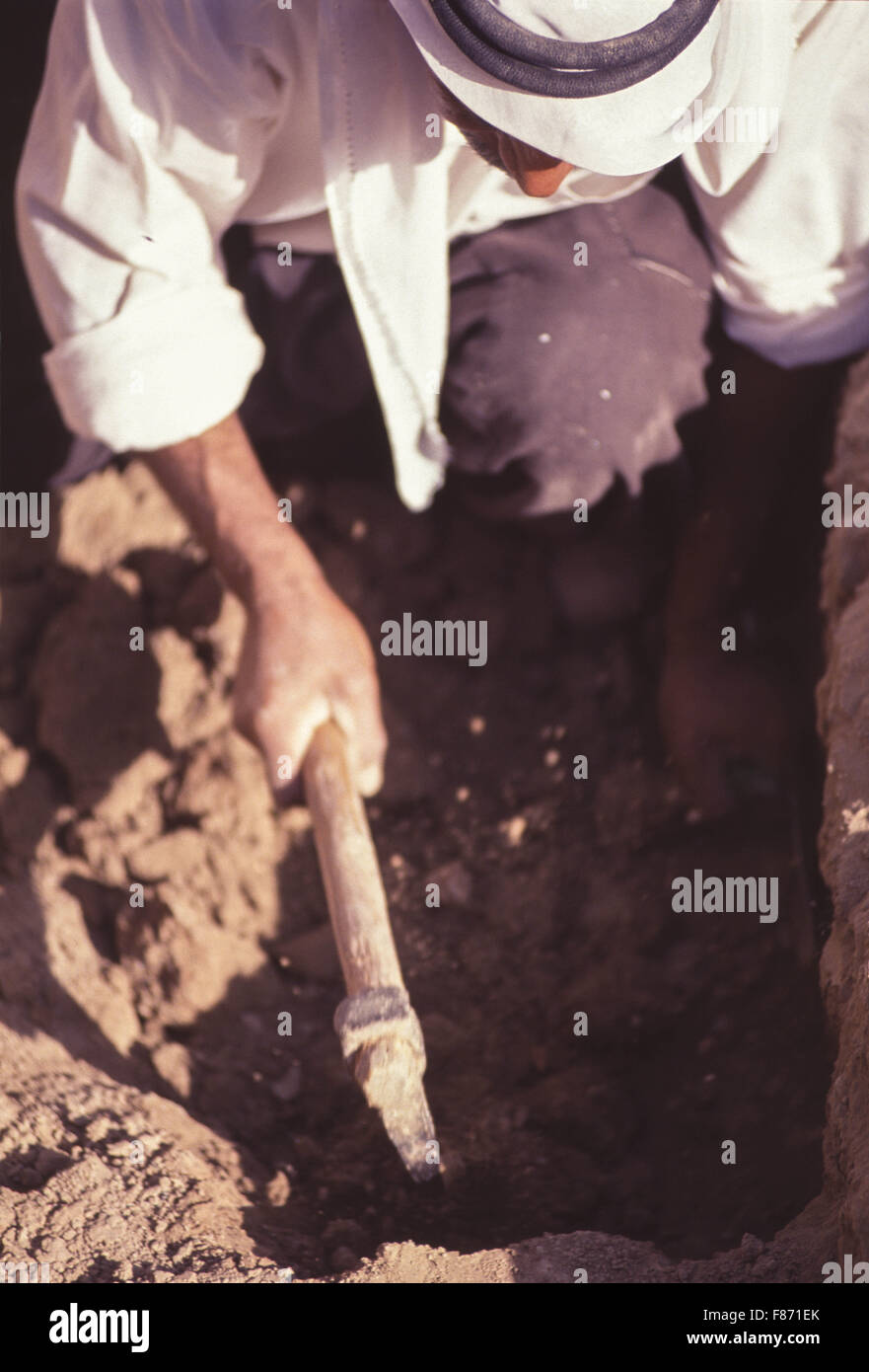 Archaelogical excavations being conducted by the British Museum at the ...