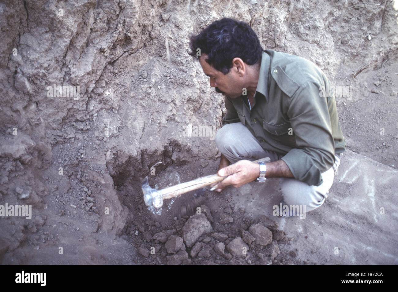 Archaelogical excavations being conducted by the British Museum at the ...