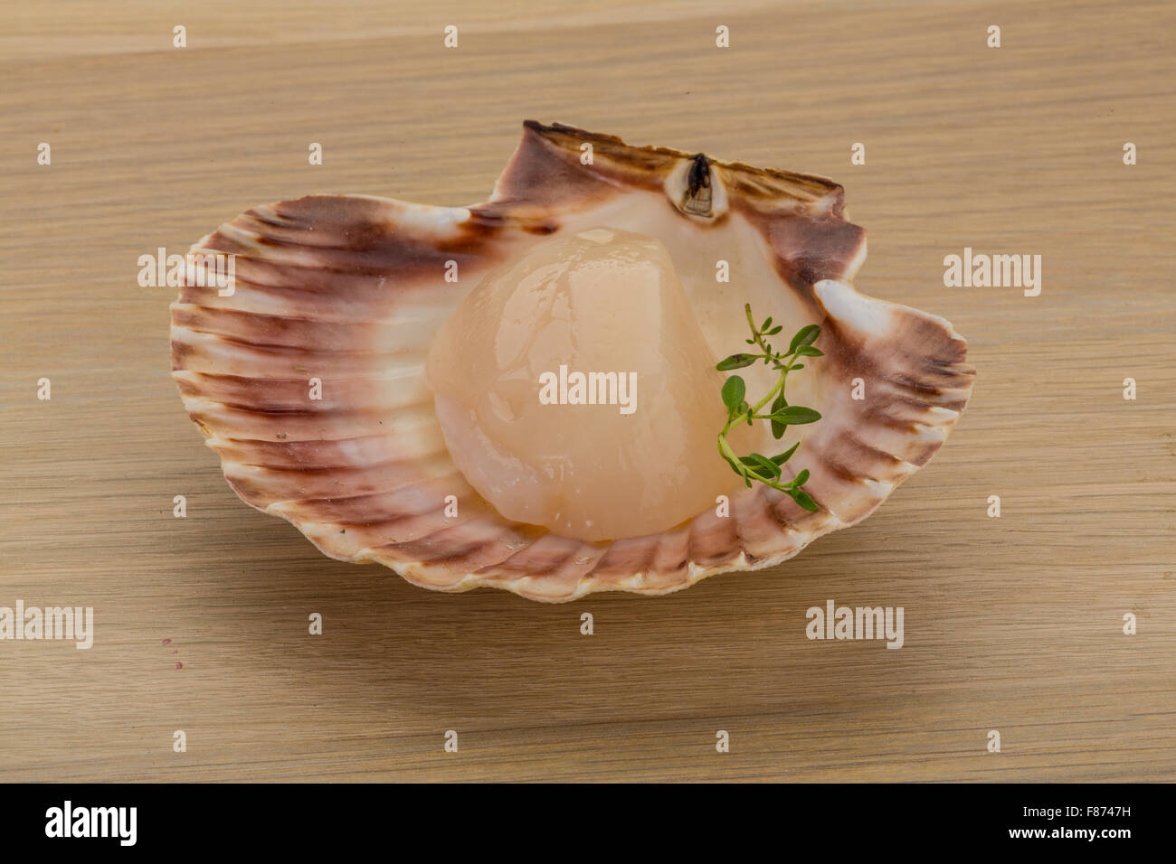 Raw scallops in the shell Stock Photo Alamy