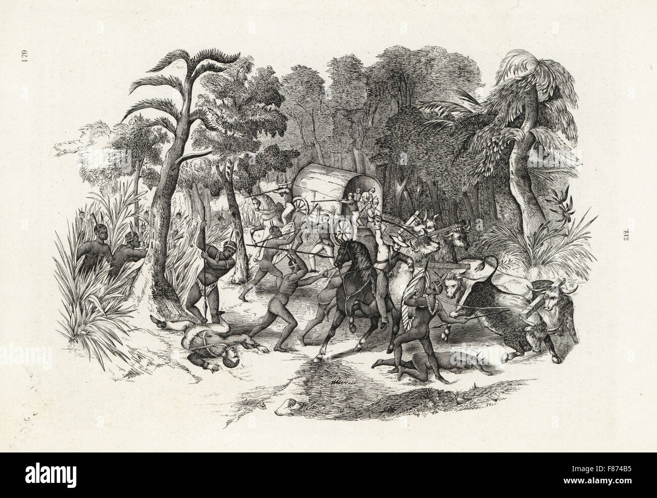 European plant hunters attacked by natives of South Africa in the mid-19th century. Woodblock engraving from Louis van Houtte and Charles Lemaire's Flowers of the Gardens and Hothouses of Europe, Flore des Serres et des Jardins de l'Europe, Ghent, Belgium, 1851. Stock Photo