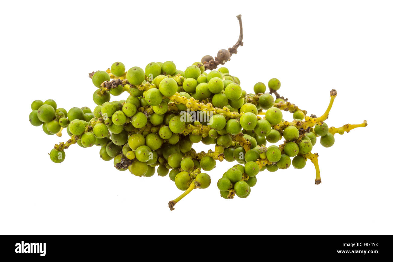 Green Kampot pepper isolated on white Stock Photo Alamy