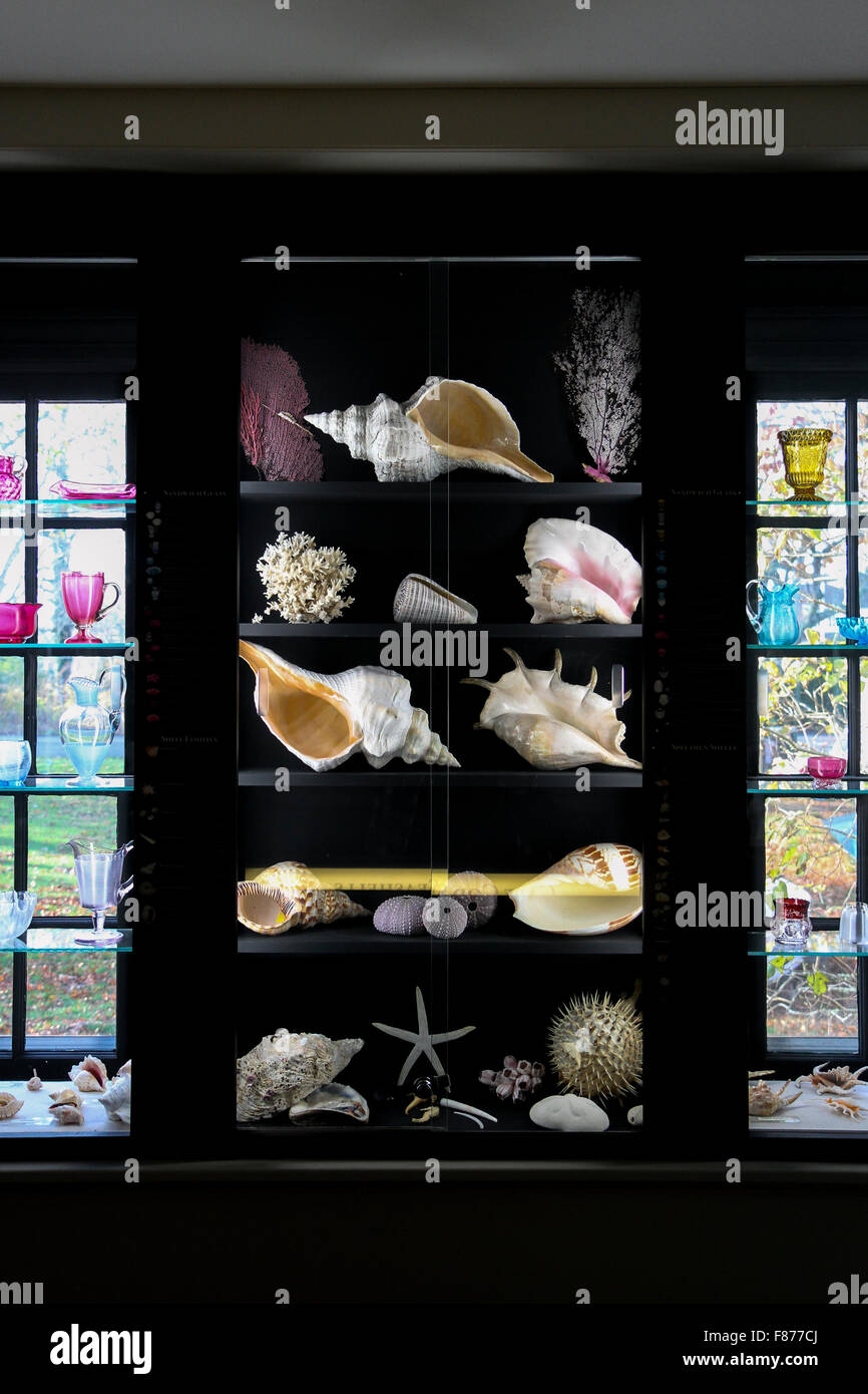 Seashells and Sandwich glass displayed in the Durand Room, Atwood House Museum, Chatham, Massachusetts Stock Photo