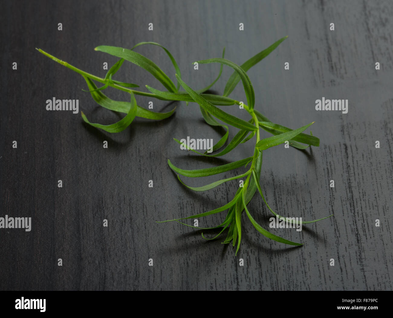 Tarragon leaves on the desk Stock Photo Alamy