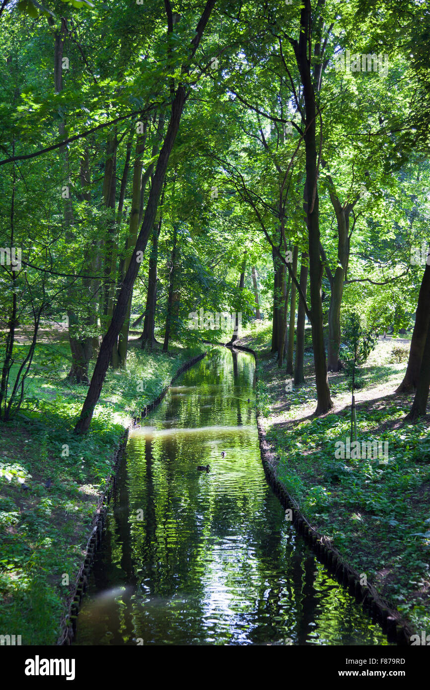 Water stream in the forest (Lazienki Park, Warsaw, Poland) Stock Photo