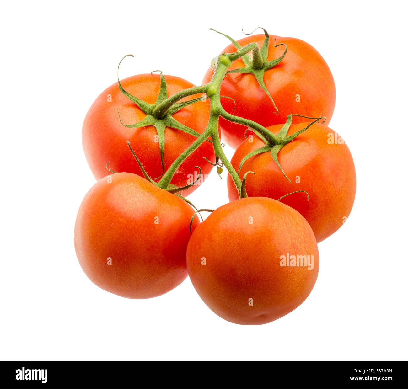 Ripe red Tomatoes on the branch Stock Photo - Alamy