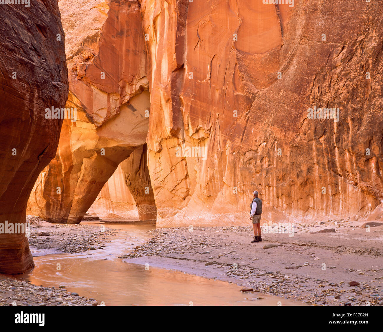 hiker (self portrait) below slide rock in the paria river narrows near ...