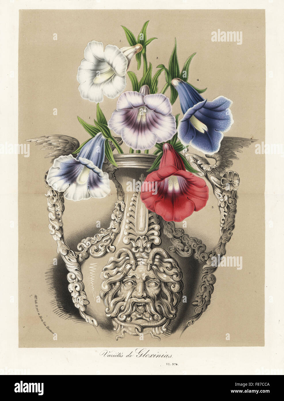 Varieties of Gloxinia, Sinningia speciosa, in a vase. Handcoloured lithograph from Louis van Houtte and Charles Lemaire's Flowers of the Gardens and Hothouses of Europe, Flore des Serres et des Jardins de l'Europe, Ghent, Belgium, 1870. Stock Photo