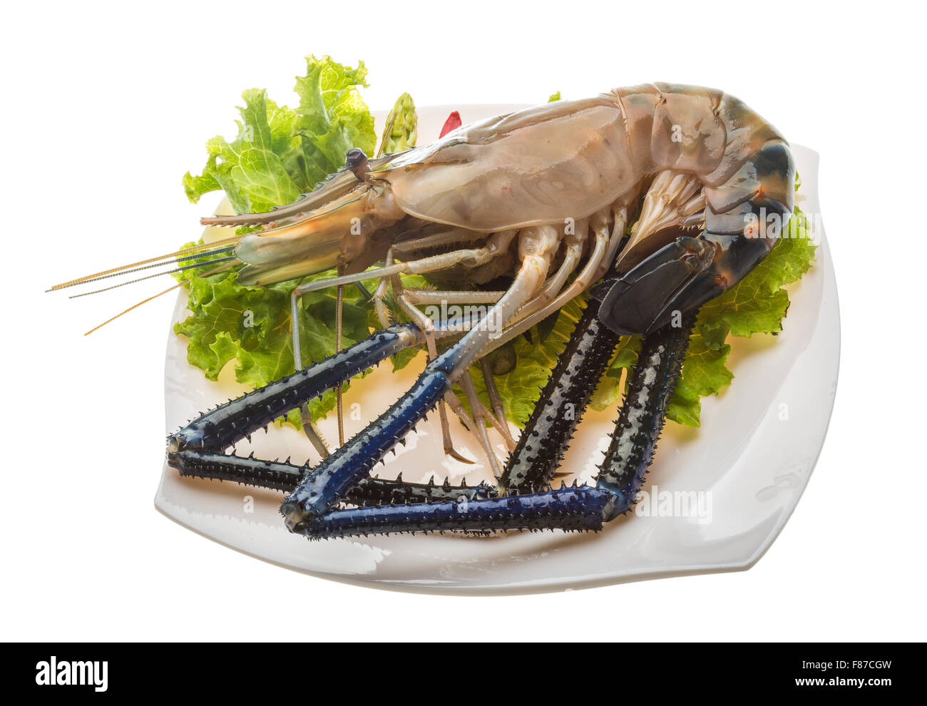 Big Freshwater prawn ready for cooking Stock Photo - Alamy