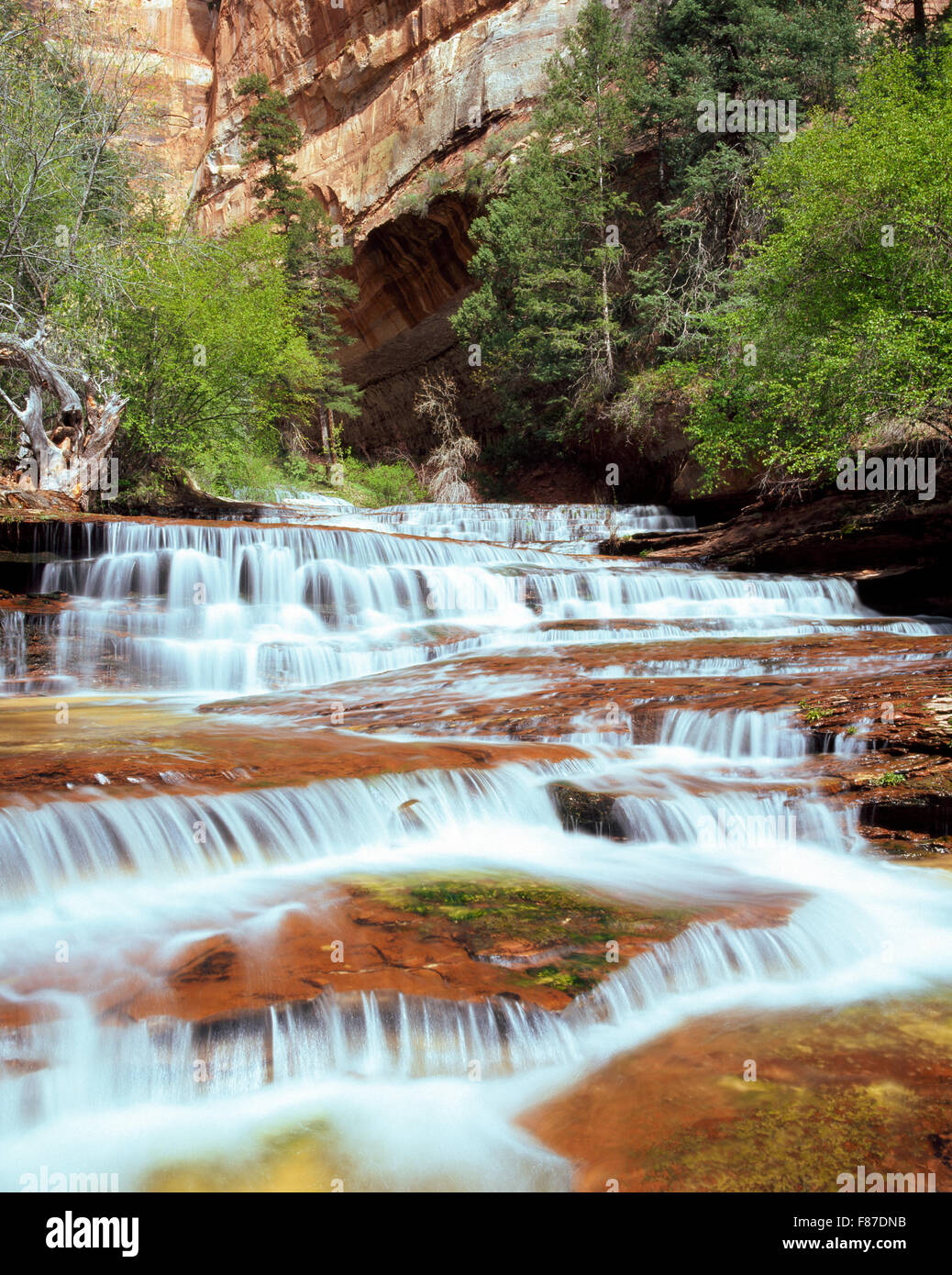 archangel cascades on left fork north creek along route to the subway in zion national park, utah Stock Photo