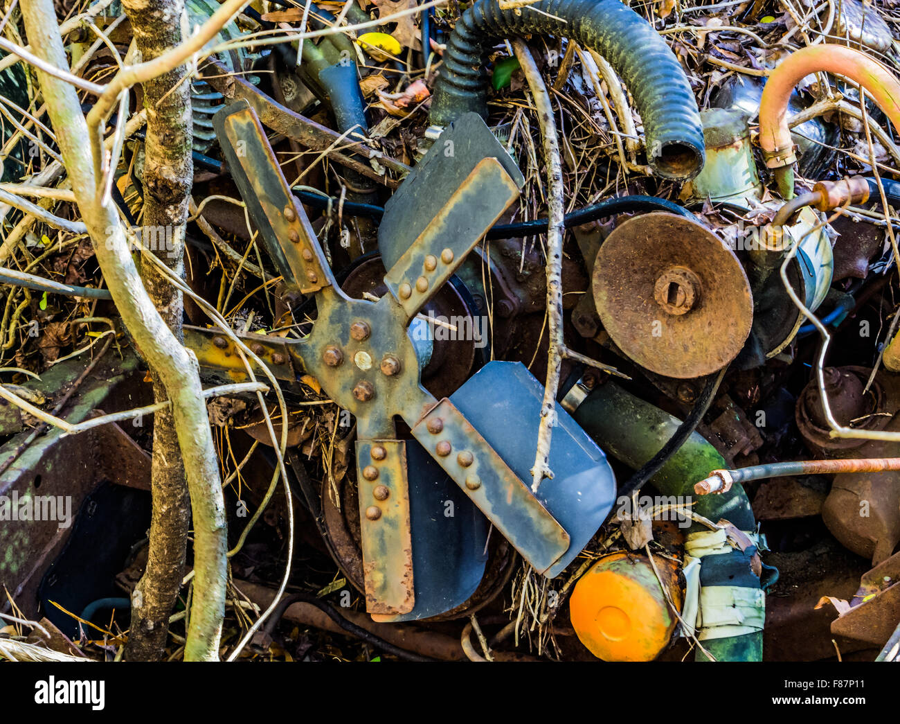 Abandoned junk car in woods hi-res stock photography and images - Alamy