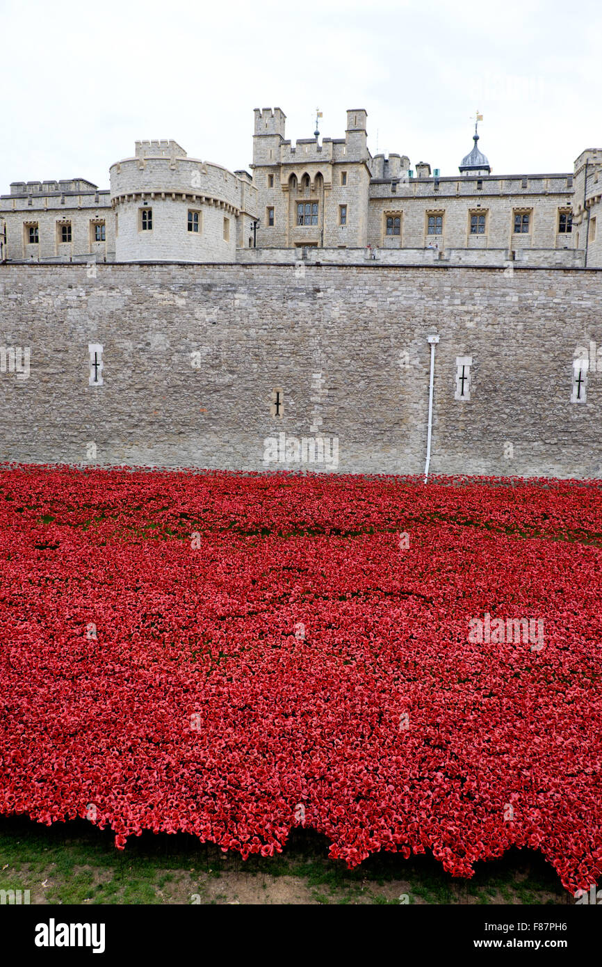 Dotted with artistic red poppies, the Tower of London is being prepared for Rememberance Day, in honor of lives lost in WWI. Stock Photo
