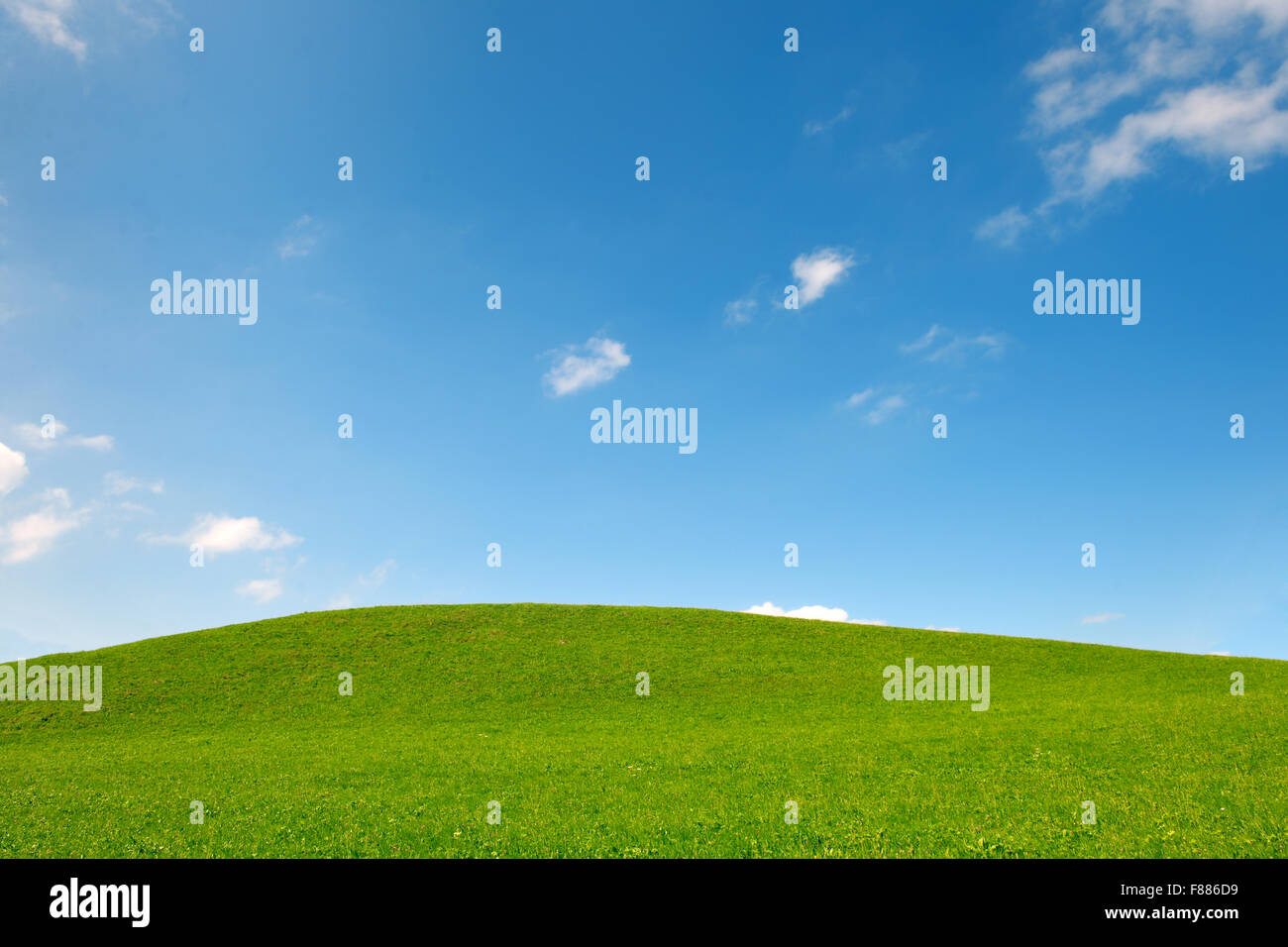 green field of grass and perfect blue sky background in nature Stock ...