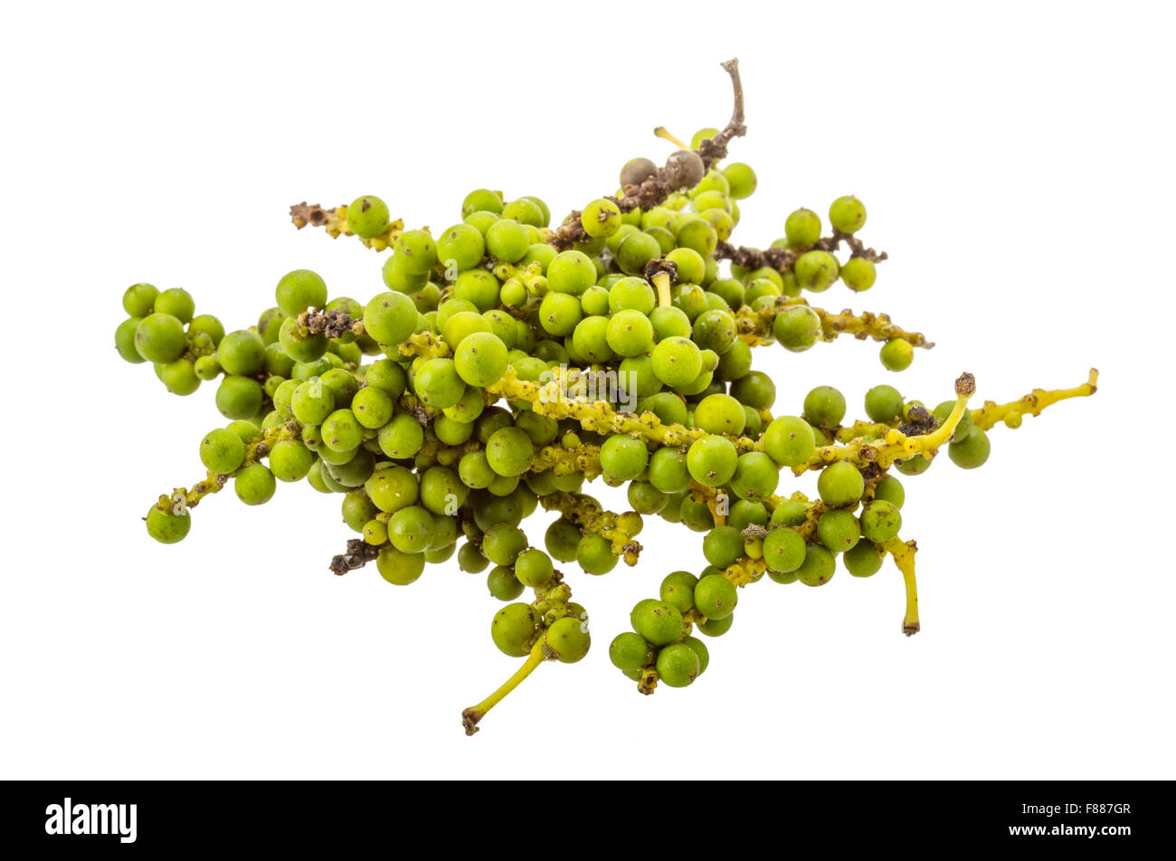 Green Kampot pepper isolated on white Stock Photo Alamy