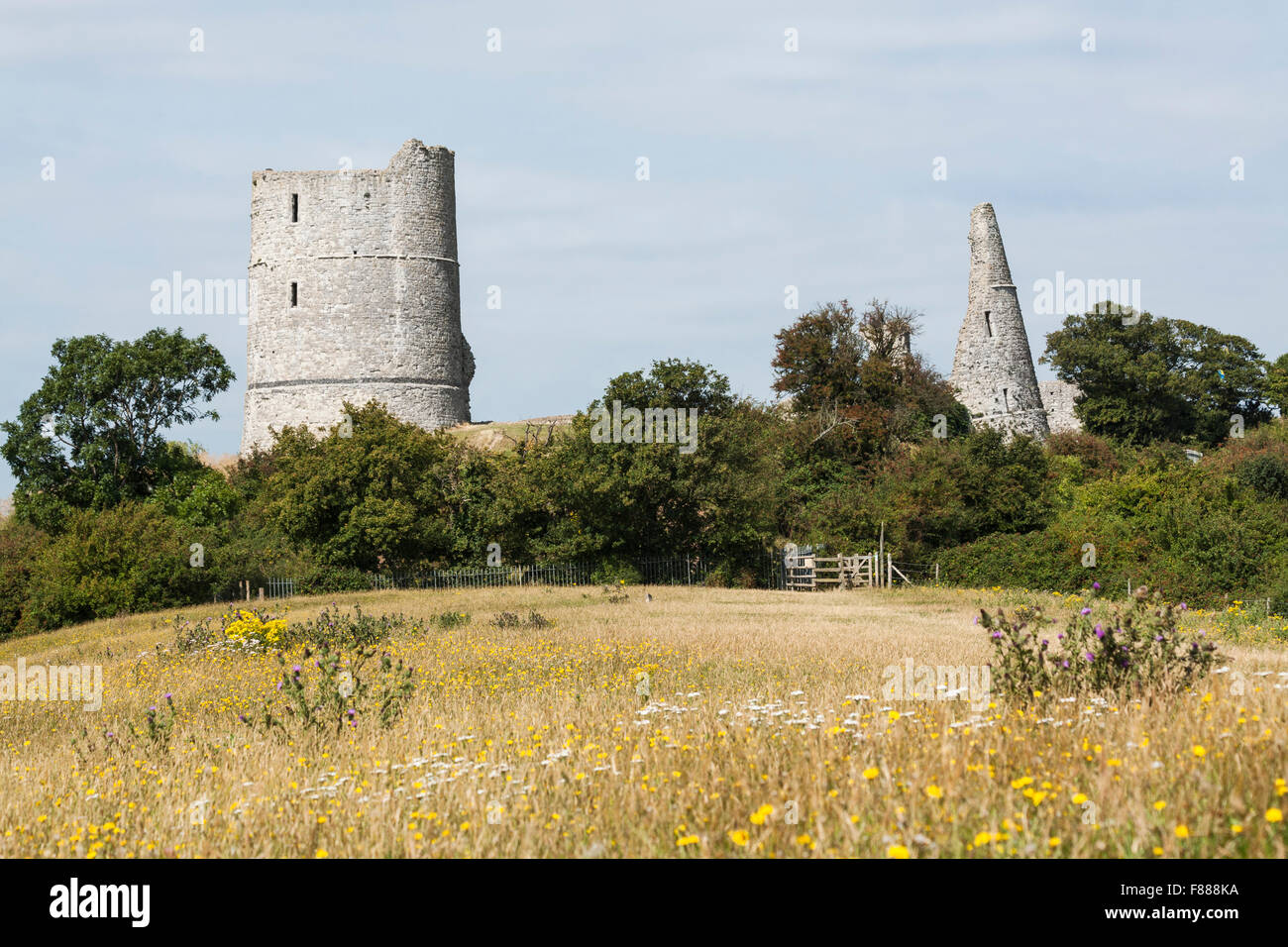Ruins of Hadleigh Castle, Hadleigh, Essex, England, UK Stock Photo Alamy