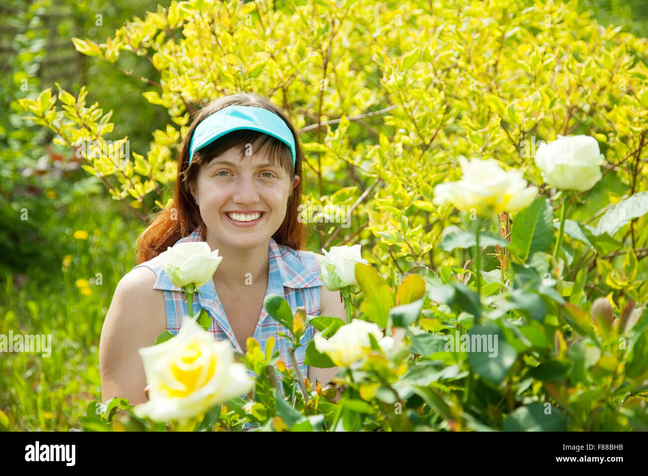 young woman in rose plant at garden Stock Photo - Alamy