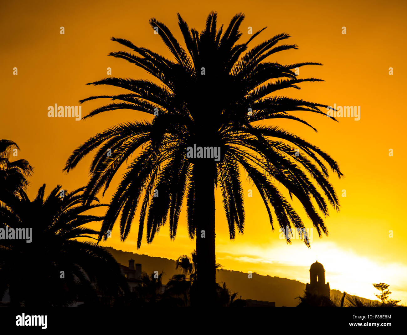 The sun sets behind a palm tree on the island of Tenerife in Puerto de ...