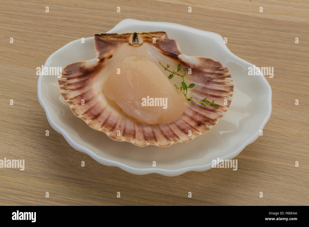 Raw scallops in the shell Stock Photo Alamy