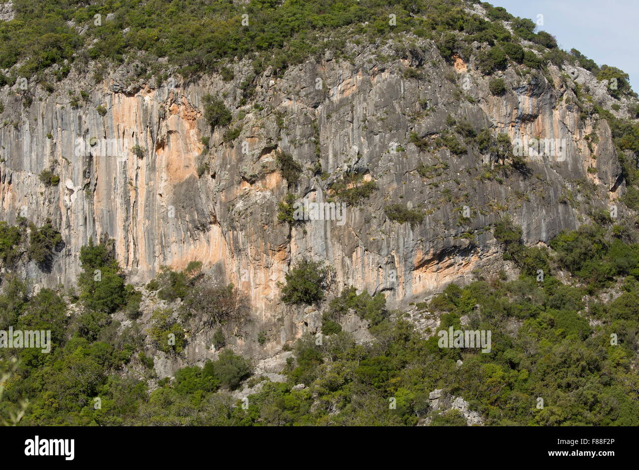 Limestone cliff in the Sierra de Grazalema, with rare plants. Sw Spain. Stock Photo