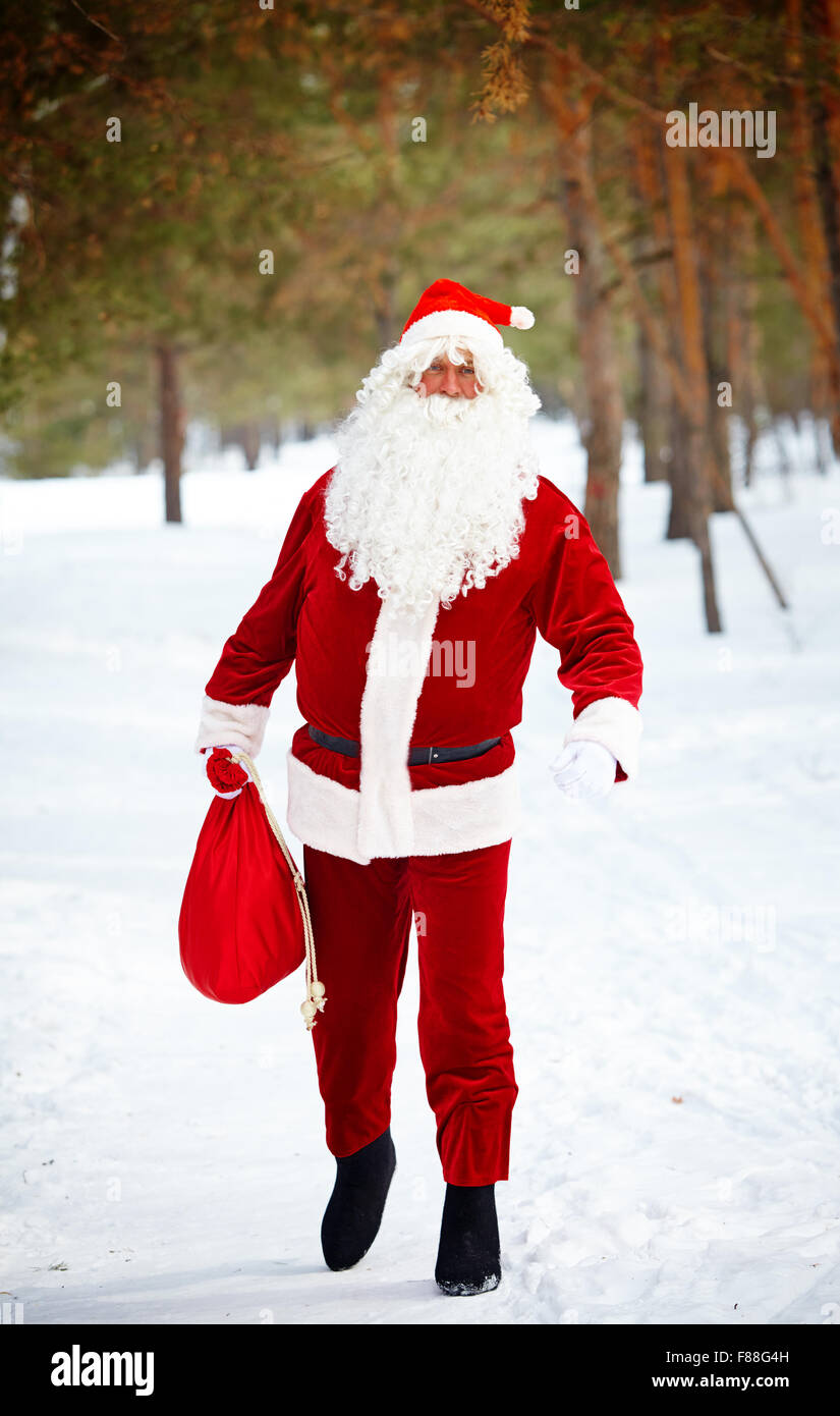 Santa Claus with sack walking down winter forest Stock Photo - Alamy