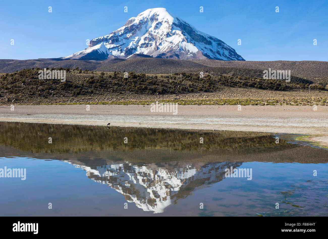 Sajama Volcano And Lake Huañacota, In The Natural Park Of Sajama 