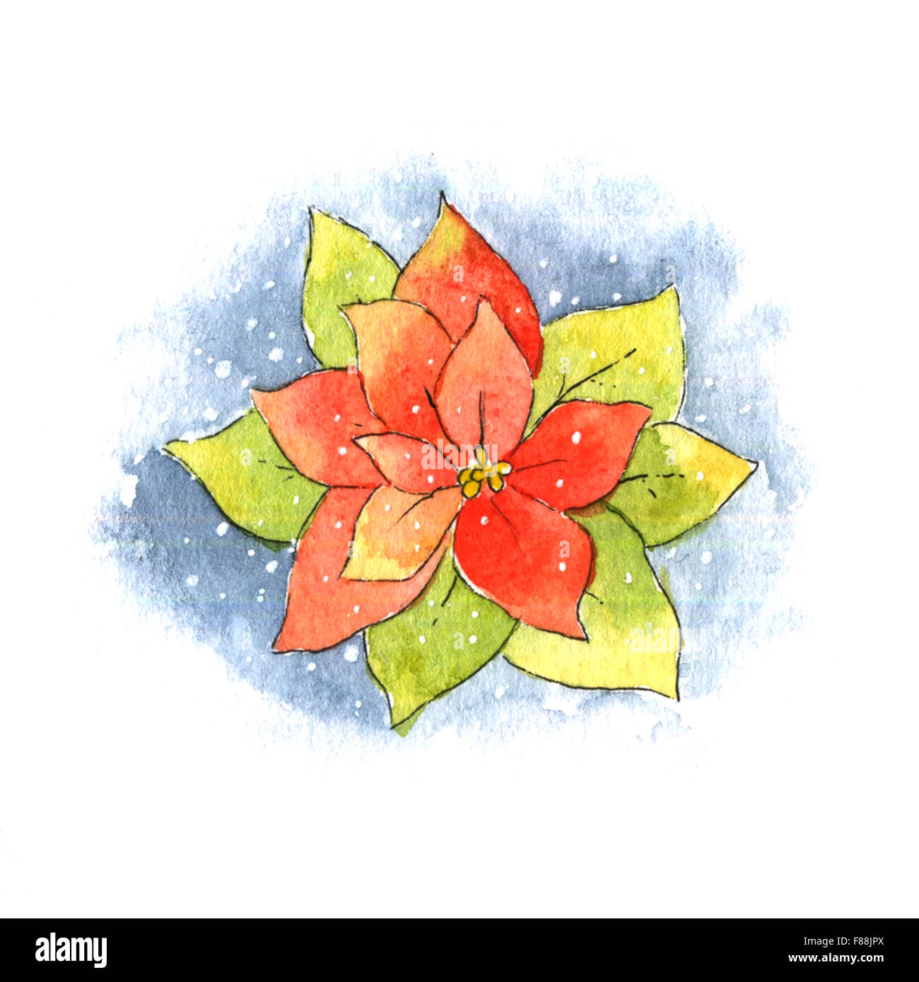 Poinsettia. Watercolor illustration Stock Photo Alamy
