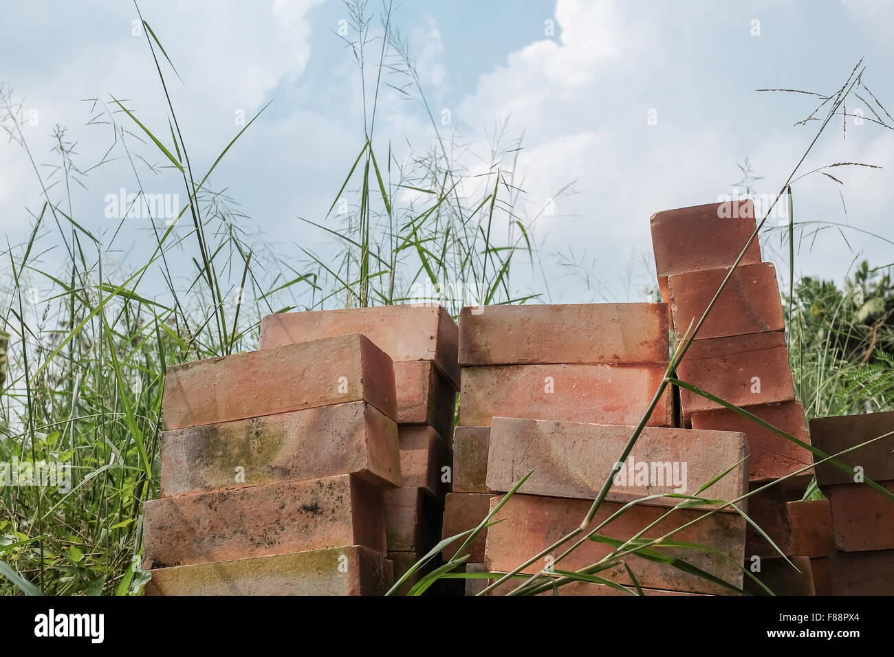 Pile of red bricks in dense grasses Stock Photo