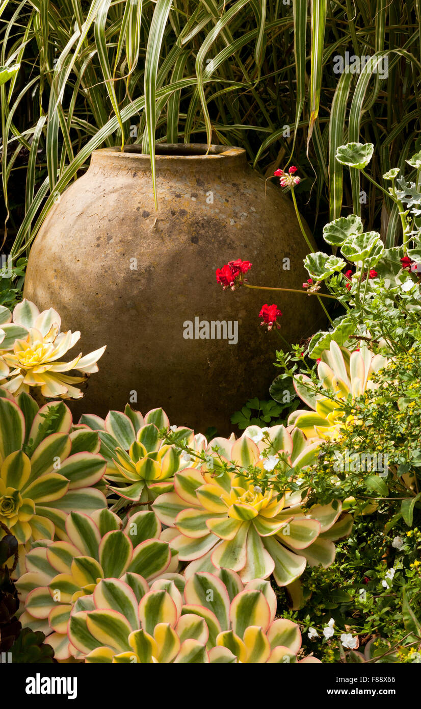 Pottery pot placed in a garden amongst Geranium and House Leeks Stock Photo
