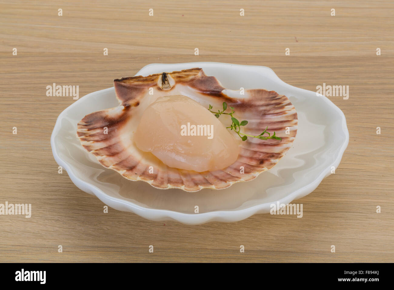 Raw scallops in the shell Stock Photo Alamy