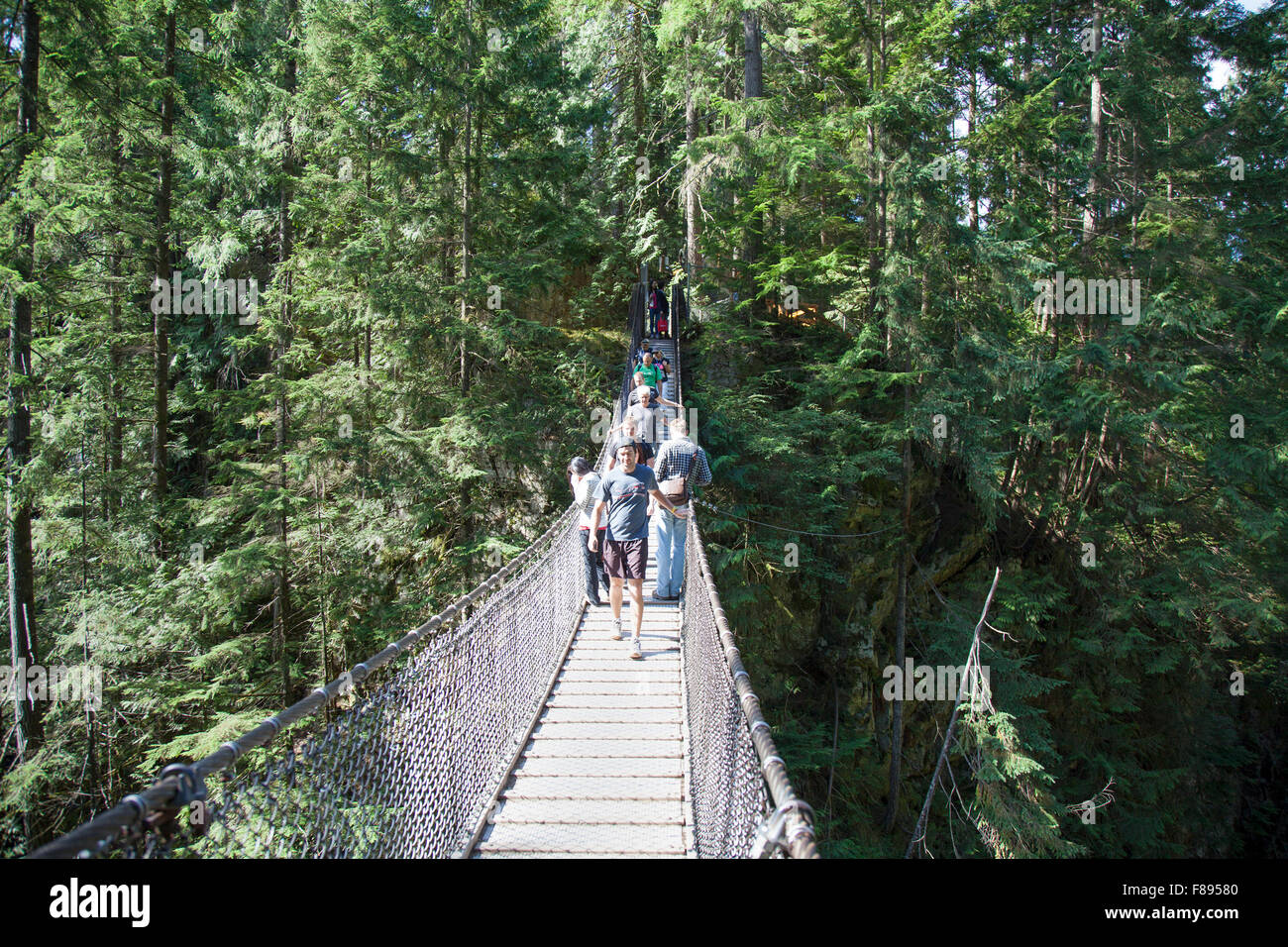 Forest Rope Bridge Hike High Resolution Stock Photography and Images