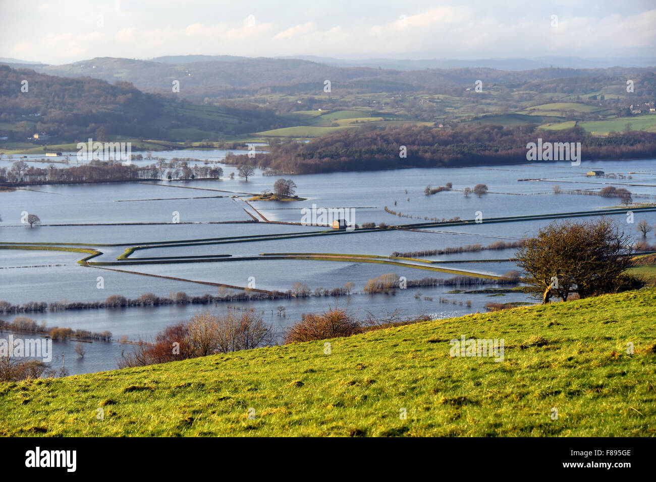 Kendal, Cumbria, UK. 07th Dec, 2015. Aftermath of Storm Desmond. Flooding in the Lyth Valley, near Kendal, Cumbria. This was the scene on Monday 7th.December, two days after the height of Storm Desmond on Saturday 5th.December. Credit:  Stan Pritchard/Alamy Live News Stock Photo