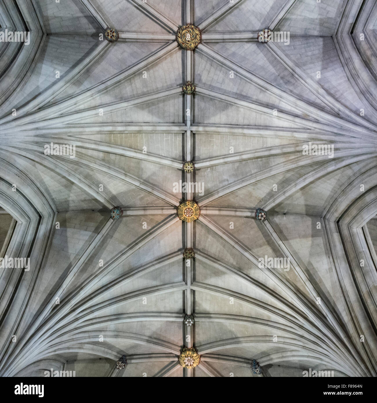 The Rib Vaulted Ceiling Of Bristol Cathedral Stock Photo