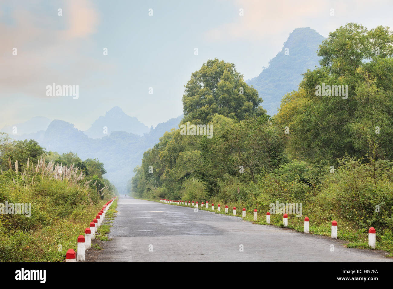 Beautiful tropical road Stock Photo