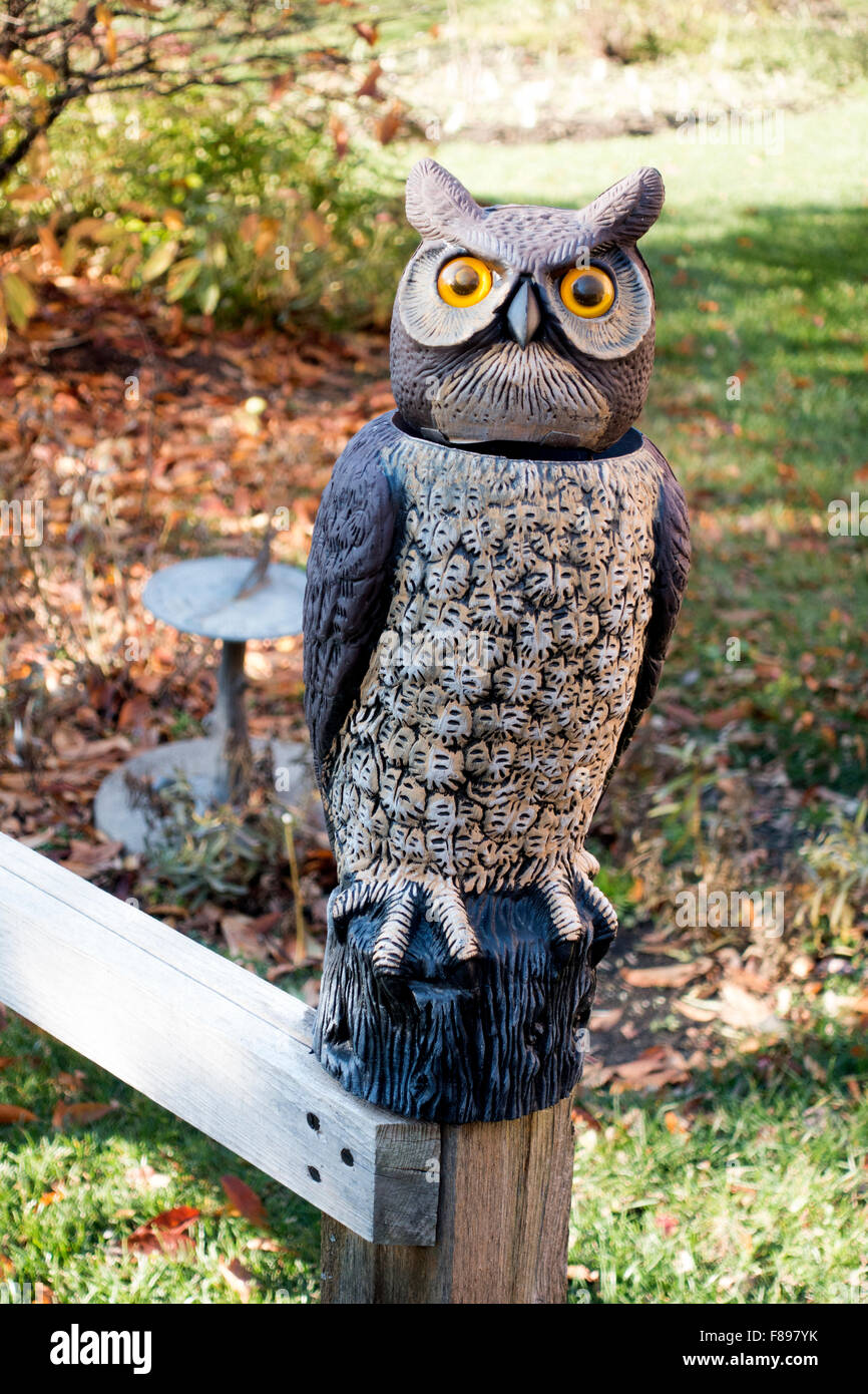 Scary owl hires stock photography and images Alamy