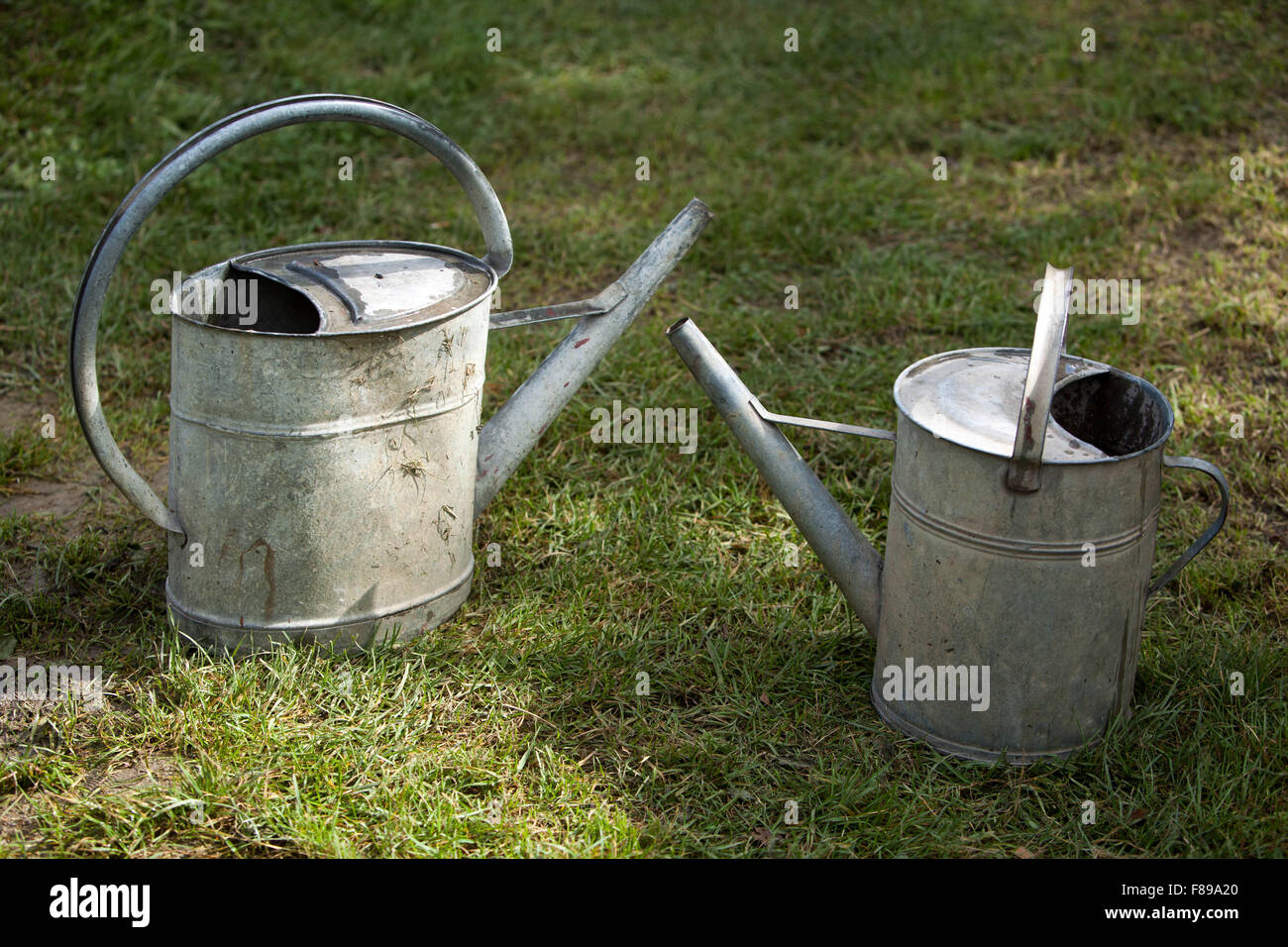 A metal watering cans on a garden lawn Stock Photo