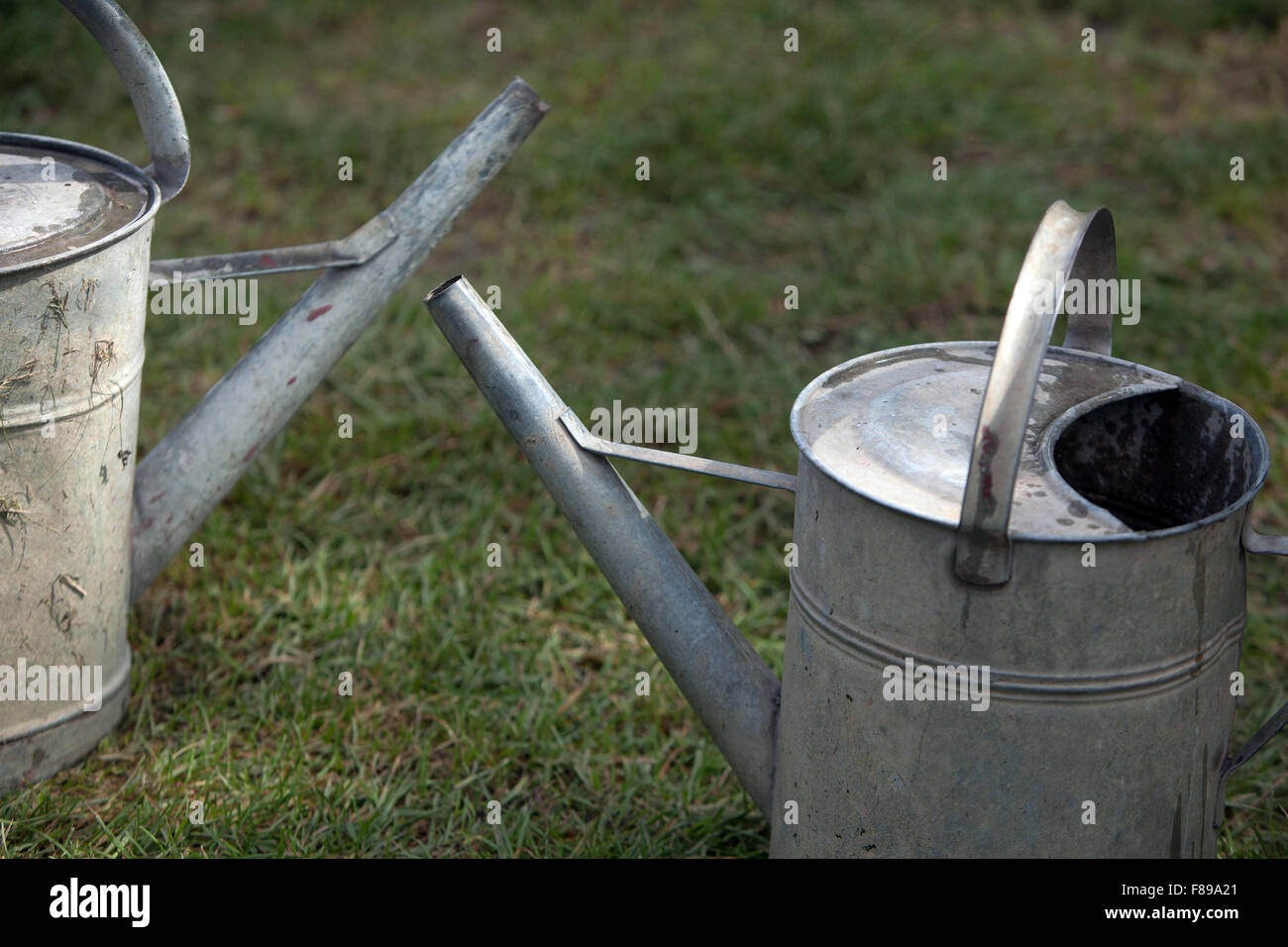 A metal watering cans on a garden lawn Stock Photo