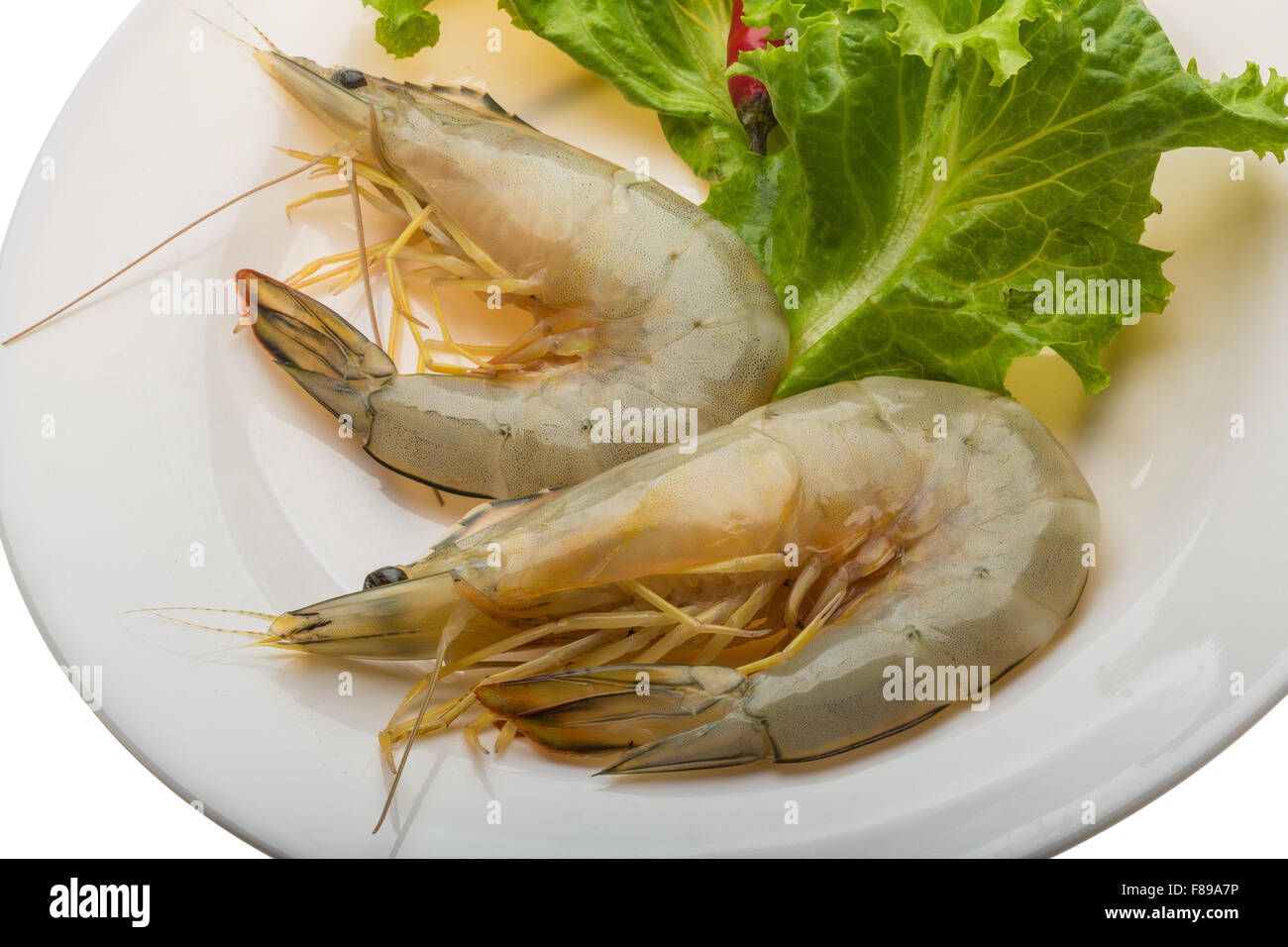 Raw Tiger prawn ready for cooking Stock Photo Alamy