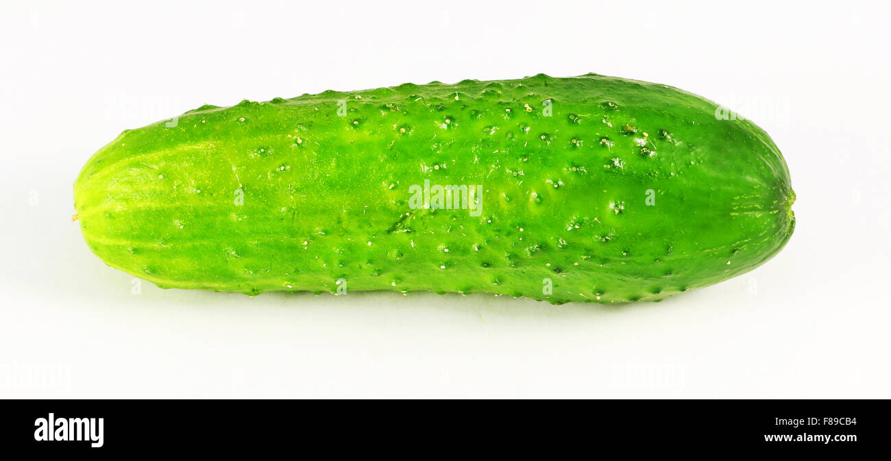 tasty vegetable cucumber photographed on a white background closeup Stock Photo