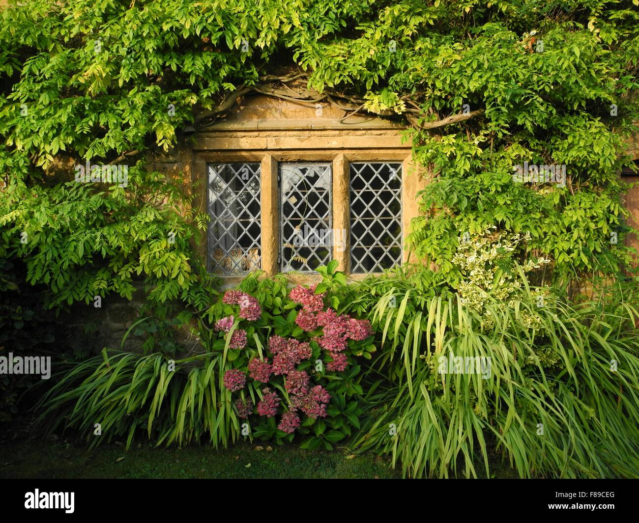 Cotswold stone cottage Great Tew Chipping Norton Oxfordshire Stock Photo